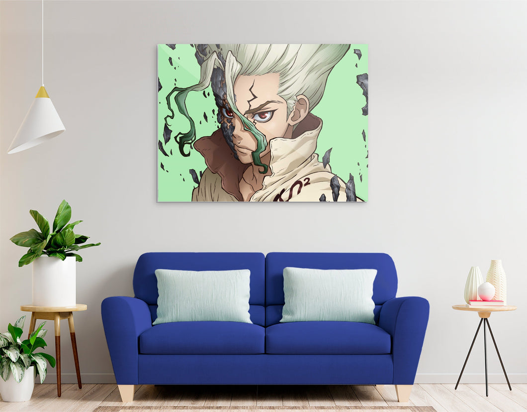 Dr. Stone Senku